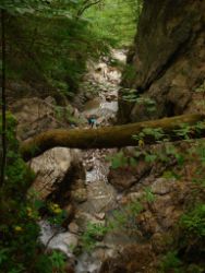 2013-07-20_Regina-F-Rau_Kochel-Rabenkopf (064).JPG